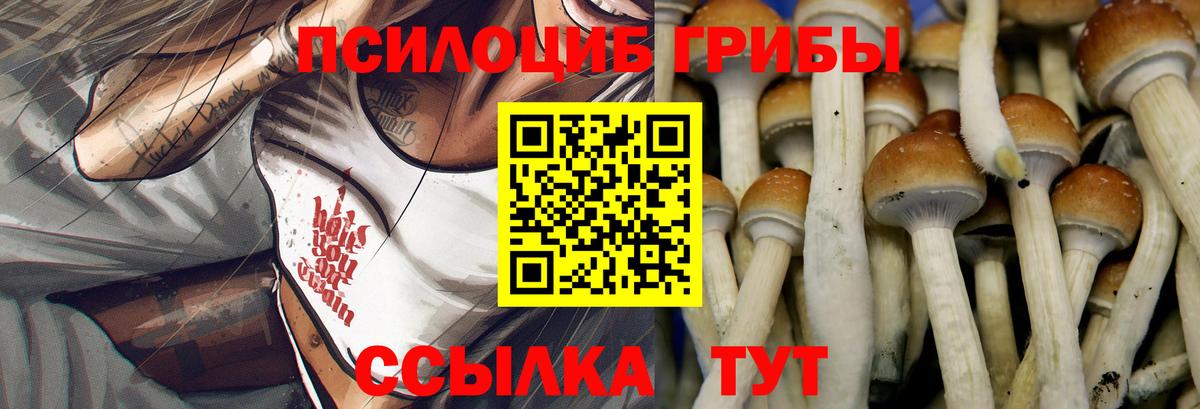 Галлюциногенные грибы MAGIC MUSHROOMS Тавда